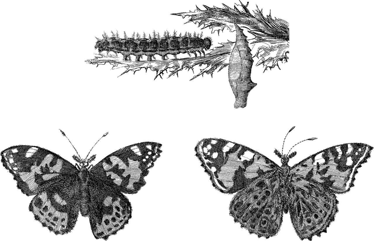 BIO-graficahappy